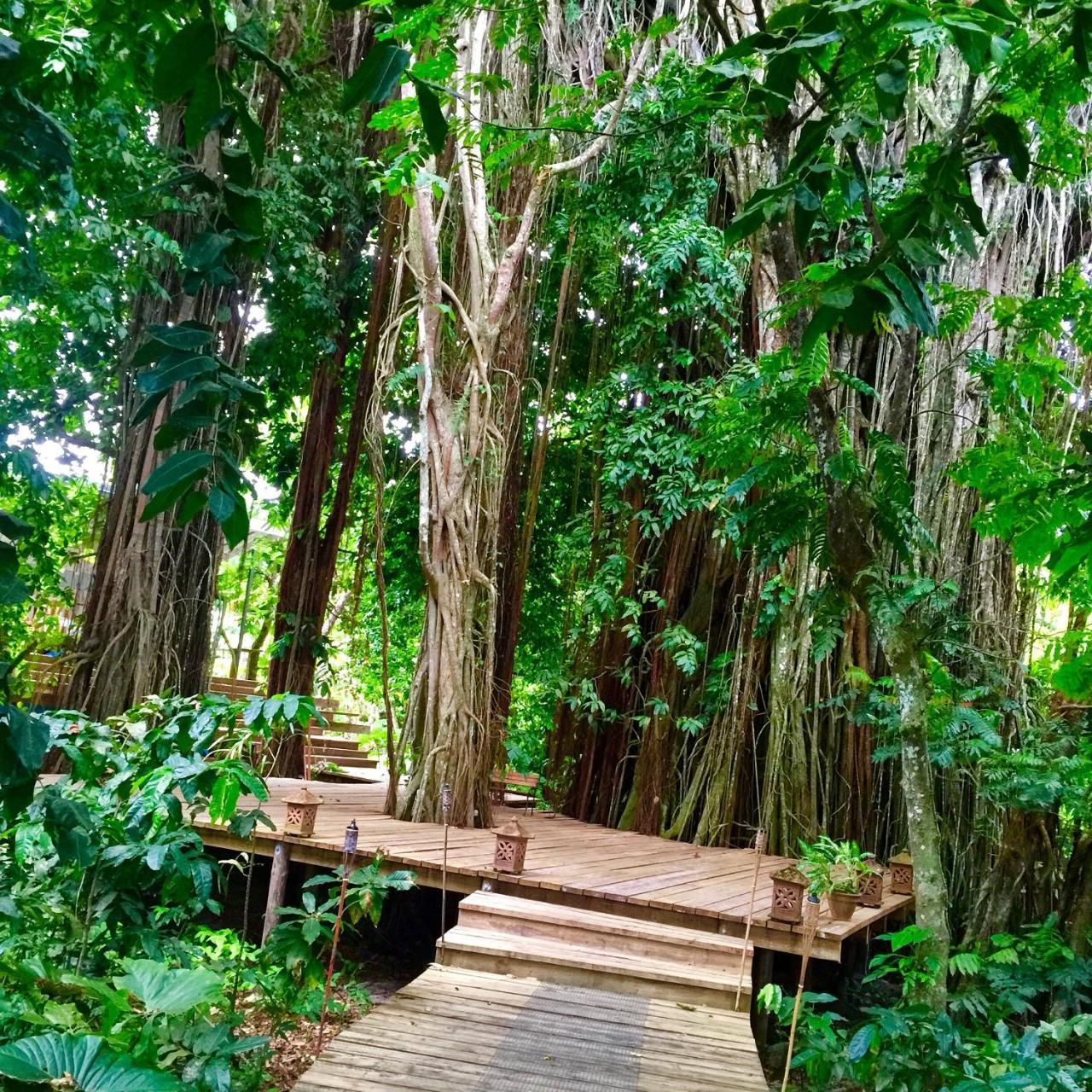 Matanivusi Beach Eco Resort Serua Ngoại thất bức ảnh